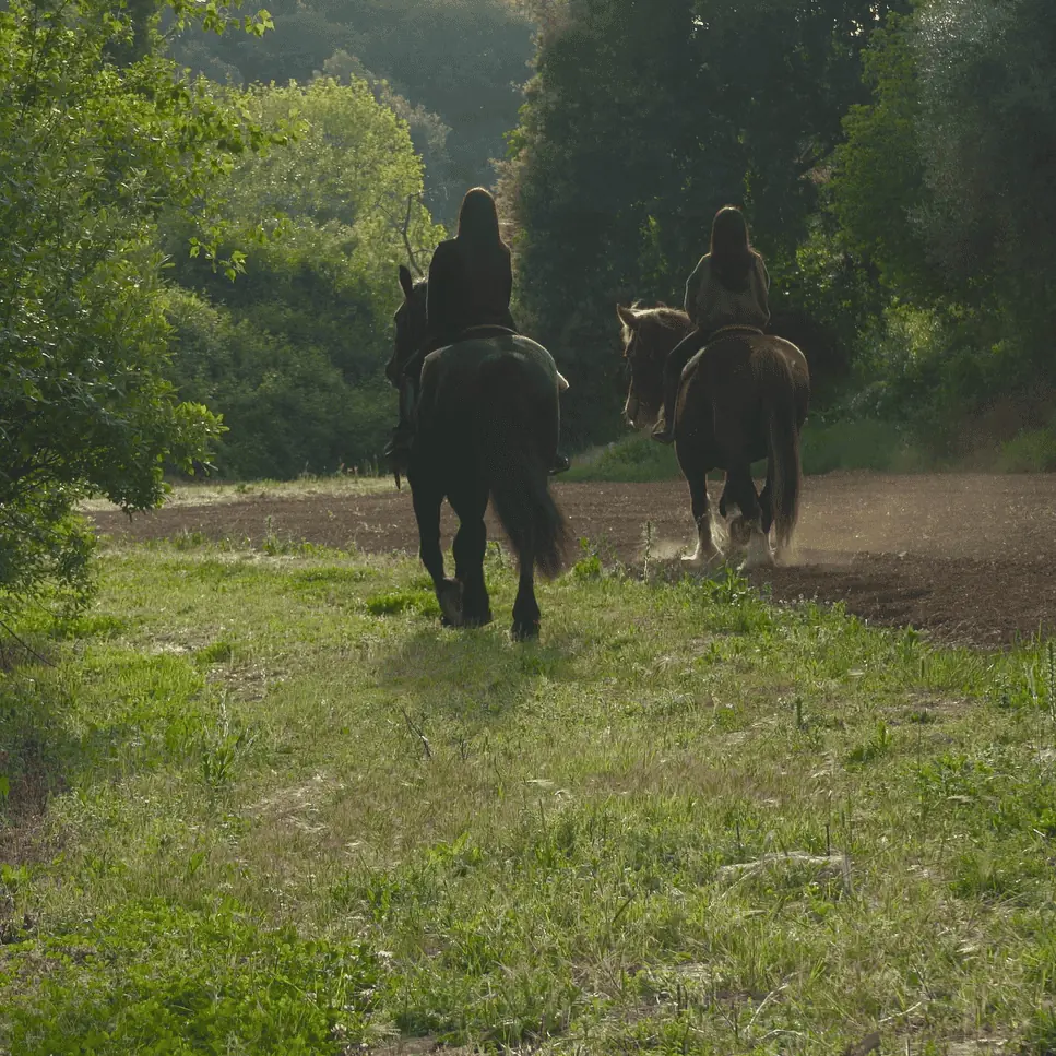 passeggiata-a-cavallo-3