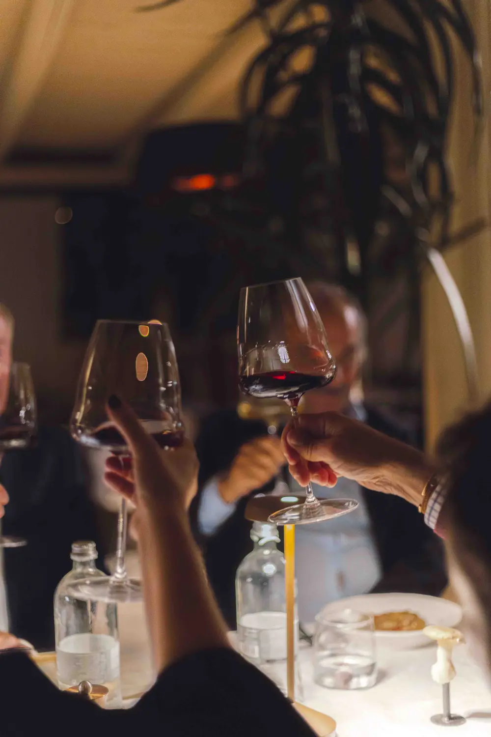 convivial dinner (2)