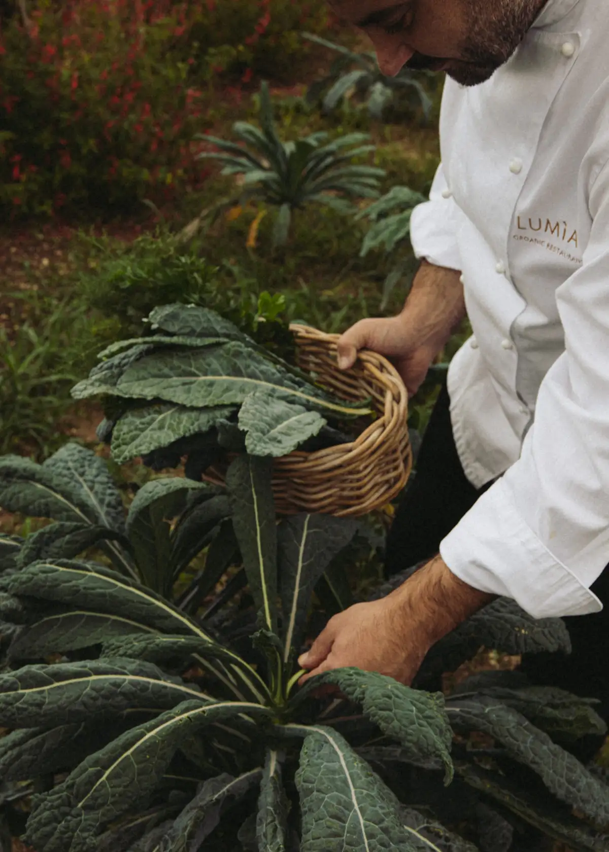 enogastronomia_natura (5)